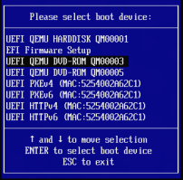 win11_virt_install.png